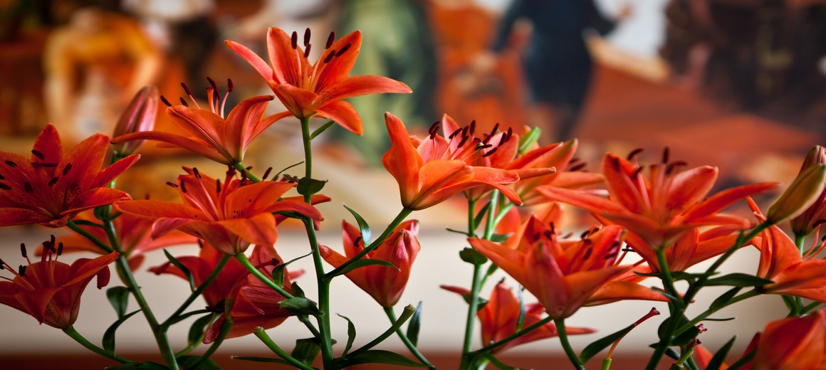 Отель Лодзь комфортабельные номера конференции паб ресторан отдых в Польше